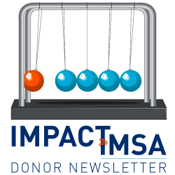 Newton's Cradle Impact IMSA Donor Newsletter image